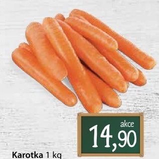Karotka