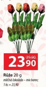 Růže čokoládová