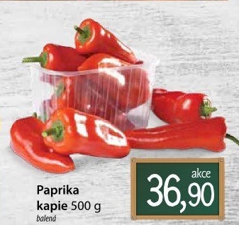 Paprika červená kapie