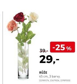 Růže