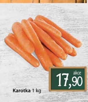 Karotka