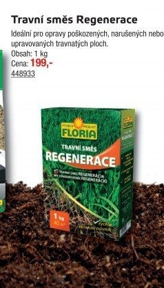 Osivo regenerace Floria