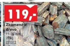 Zkamenělé dřevo