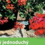 Muškát převislý jednoduchý