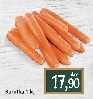 Karotka