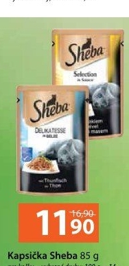 Kapsičky pro kočky Sheba