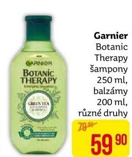 Šampon Botanic Therapy Garnier