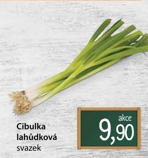 Jarní cibule svazek