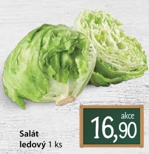 Salát ledový