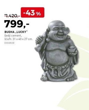 Budha Lucky