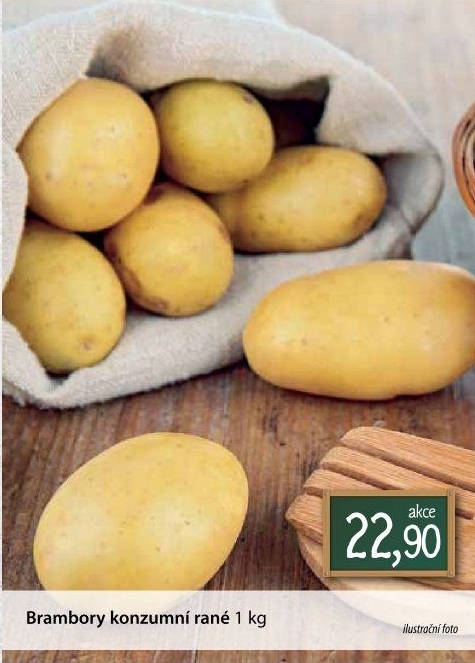 Brambory konzumní rané