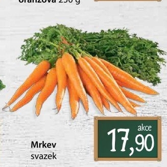 Mrkev svazková