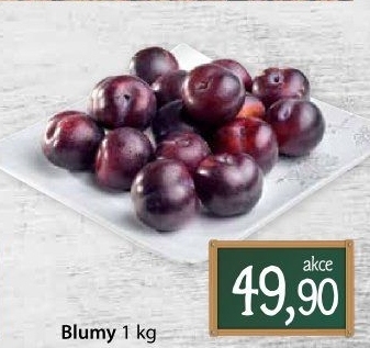 Blumy modré
