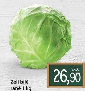Zelí hlávkové bílé