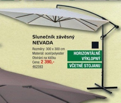 Slunečník