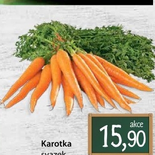 Karotka svazek