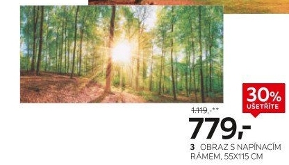 OBRAZ S NAPÍNACÍM RÁMEM