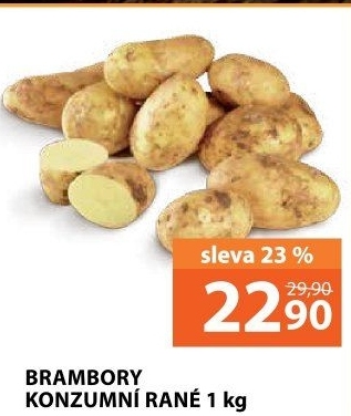 Brambory konzumní rané