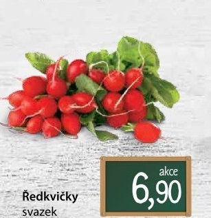 Ředkvičky svazek