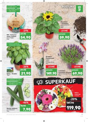akční leták Kaufland 22.5.2019-28.5.2019