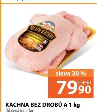 Kachna Vodňanská kachna