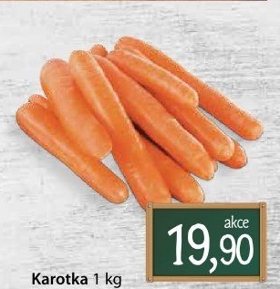 Karotka