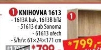 Knihovna 1613 buk