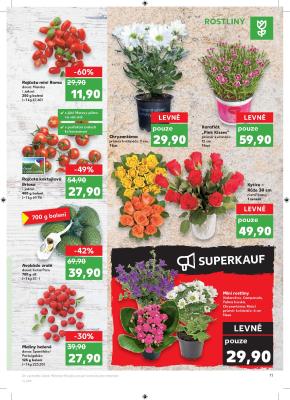 akční leták Kaufland 5.6.2019-11.6.2019