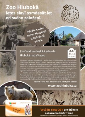 akční leták COOP 5.6.2019-11.6.2019