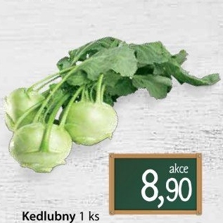 Kedlubna bílá
