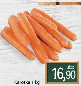 Karotka