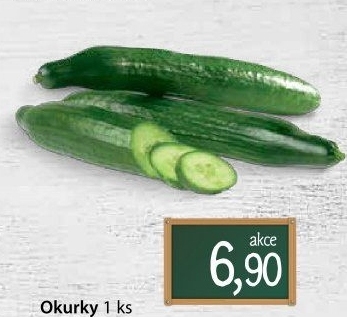 Okurka hadovka