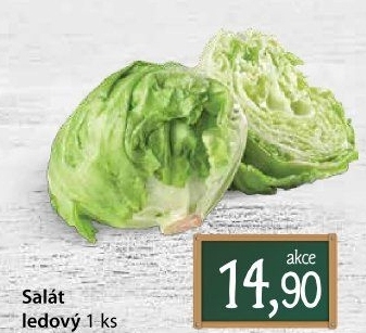 Salát ledový