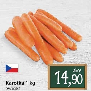 Karotka