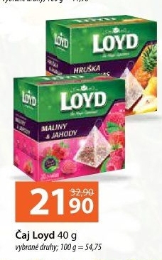 Čaj Loyd