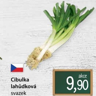 Jarní cibule svazek