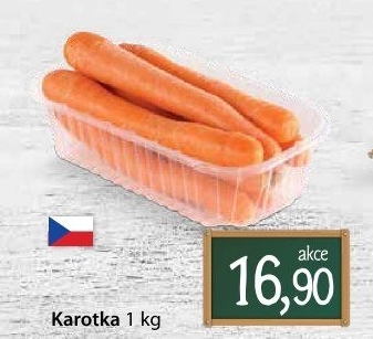 Karotka