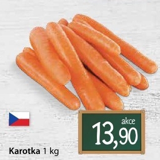 Karotka