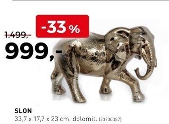 Slon