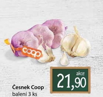 Česnek Coop