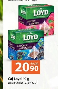 Čaj Loyd
