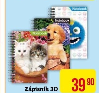Zápisník