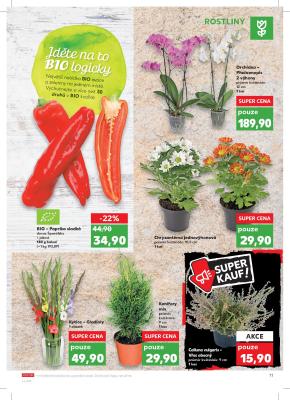 akční leták Kaufland 4.9.2019-10.9.2019