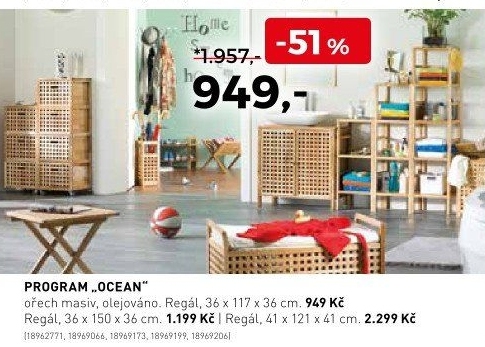 Program Ocean