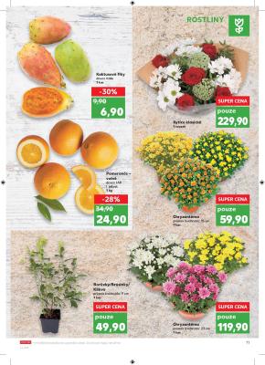 akční leták Kaufland 11.9.2019-17.9.2019