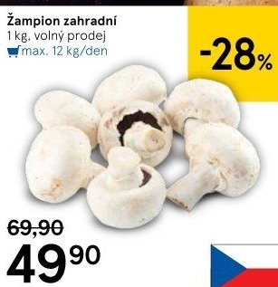 Žampiony zahradní