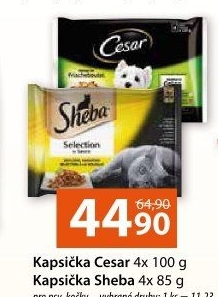 Kapsičky pro psy Cesar