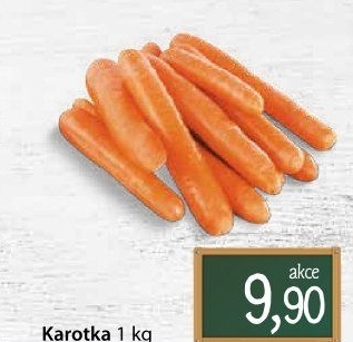 Karotka
