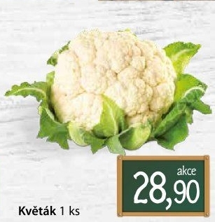 Květák
