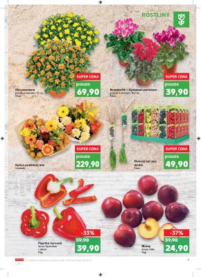 akční leták Kaufland 9.10.2019-15.10.2019